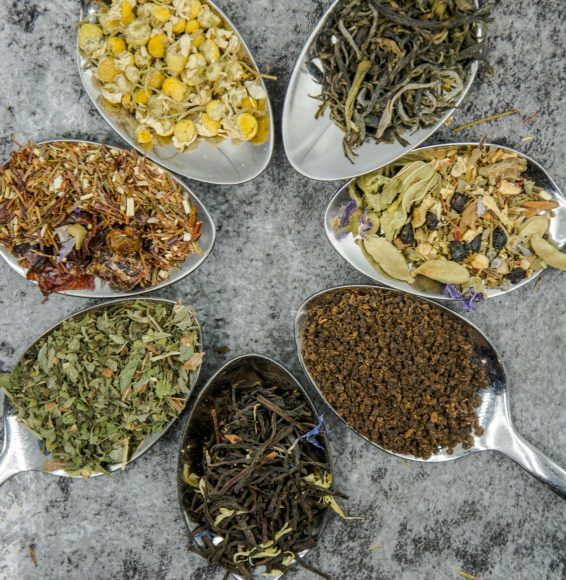 alice-pasqual-59Kh3TAajg0-unsplash